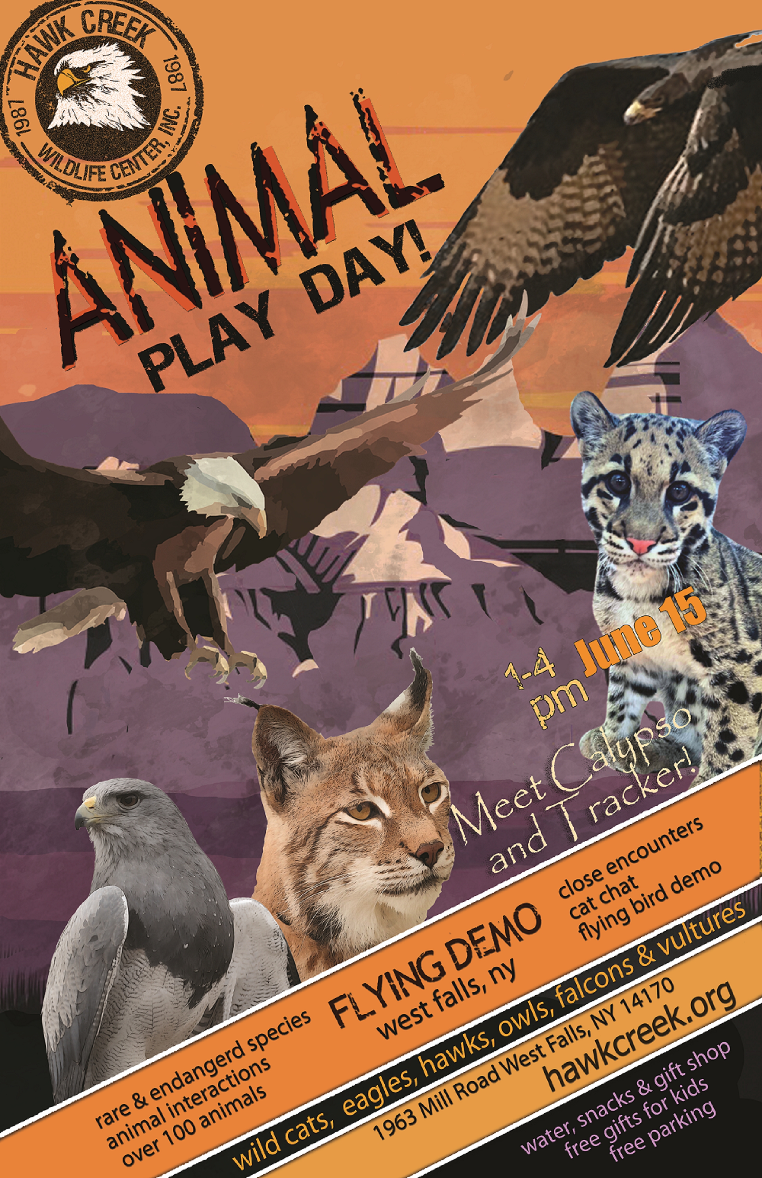 Animal Play Day